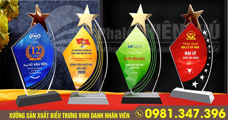 biểu trưng vinh danh nhân viên hình ngôi sao